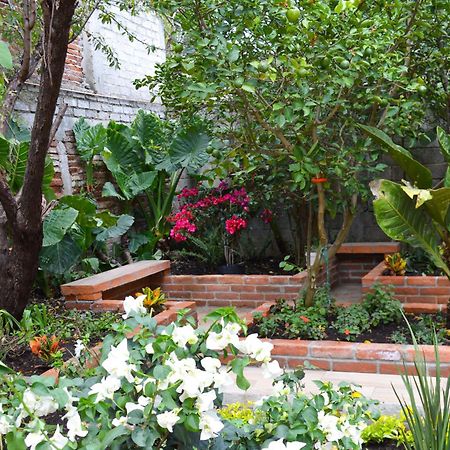 San Cristóbal de Las Casas Capital O Casa Rotter酒店 外观 照片